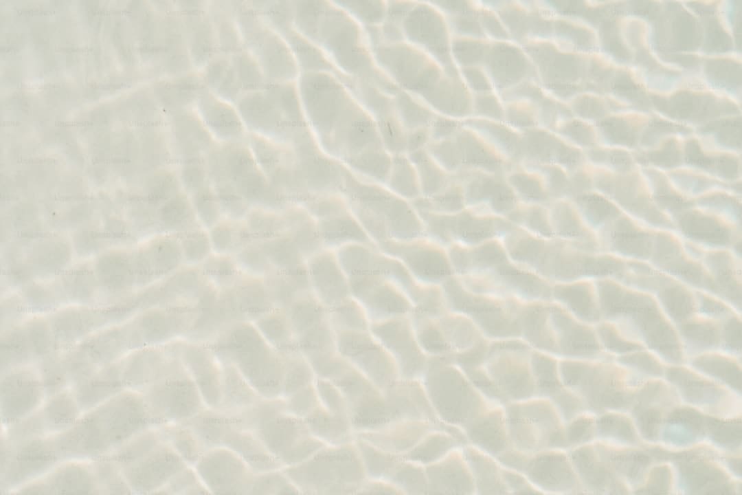 漳浦：告别排长龙 “潮汐窗口”高效灵活